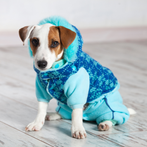 Pet Apparel