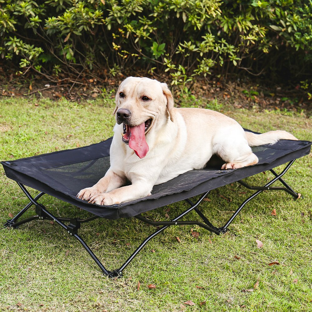 Large Elevated Folding Pet Bed Cot Travel Portable Breathable Mesh