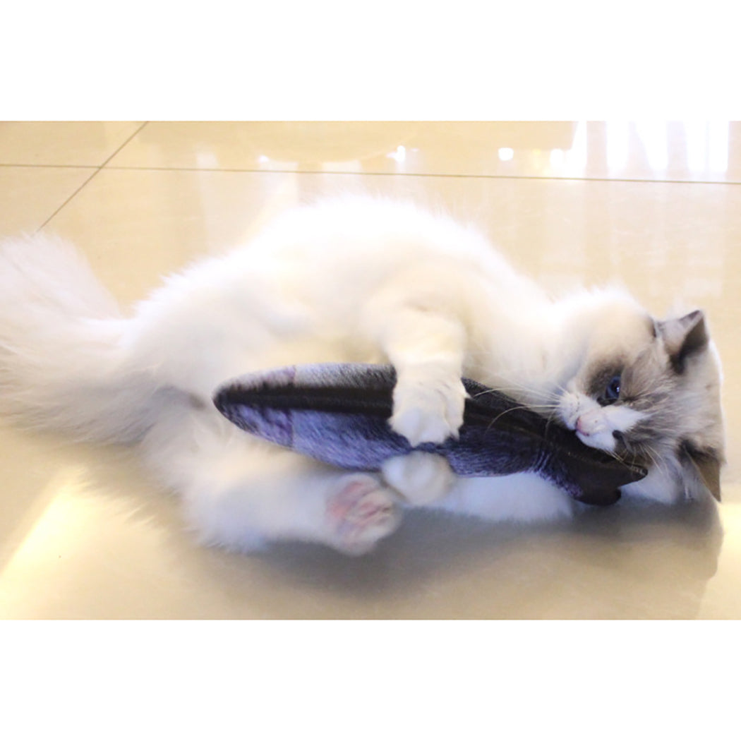 Bite Resistant Catnip Cat Toy