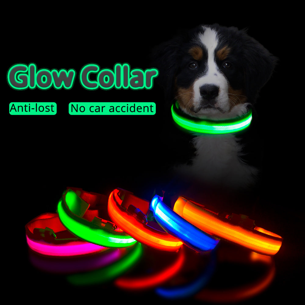 LED Dog Collar