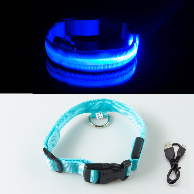 LED Dog Collar