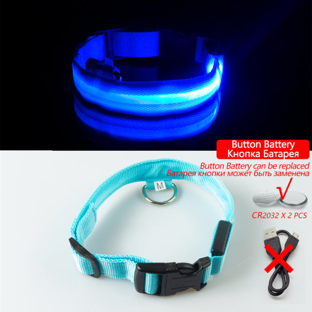 LED Dog Collar