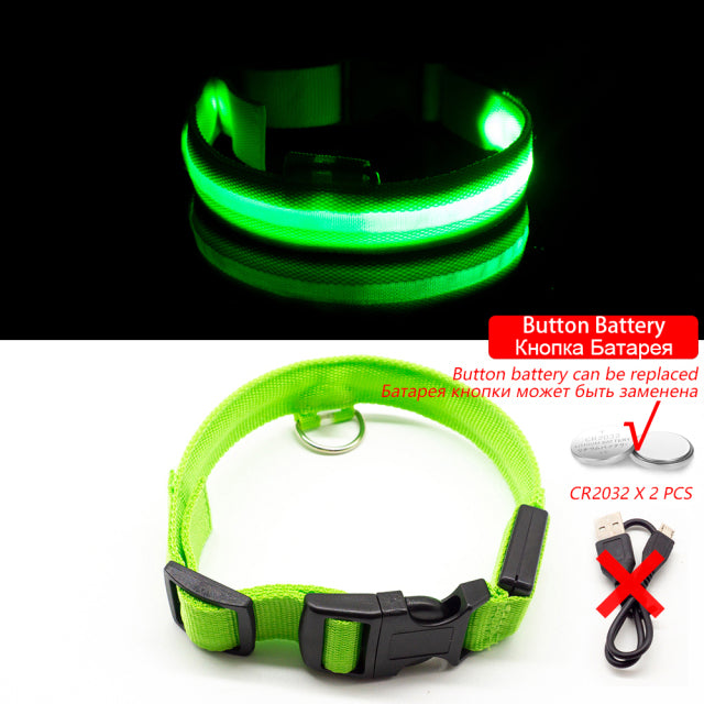 LED Dog Collar