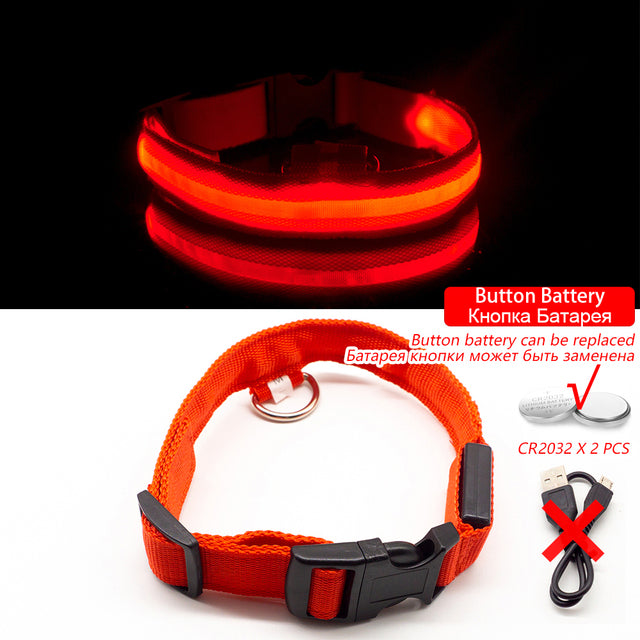 LED Dog Collar