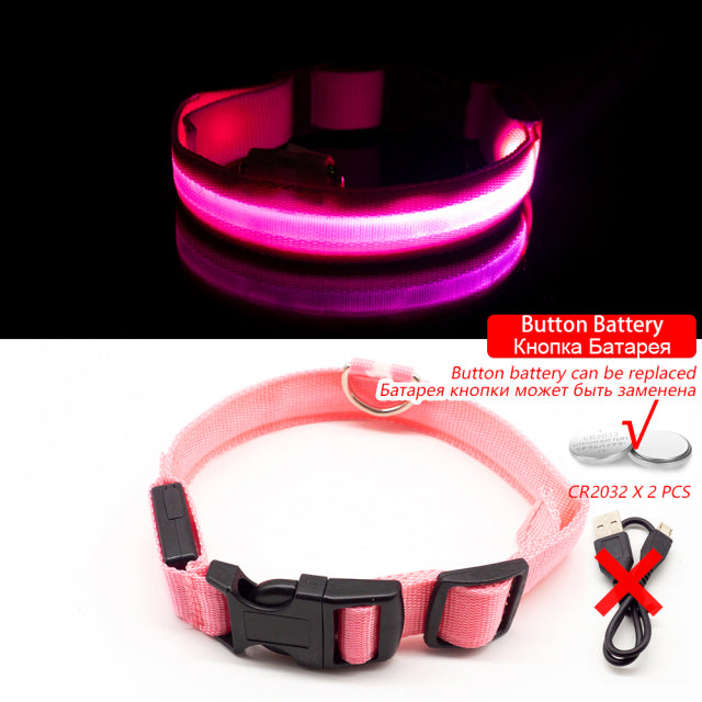 LED Dog Collar